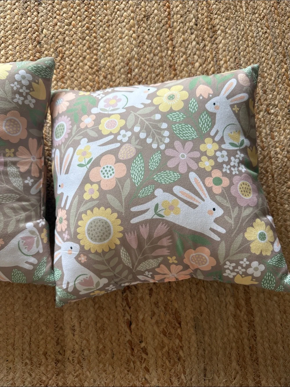 2 Decorative Bunny Floral Throw Pillow Cover - Sage & Pastel 11x11